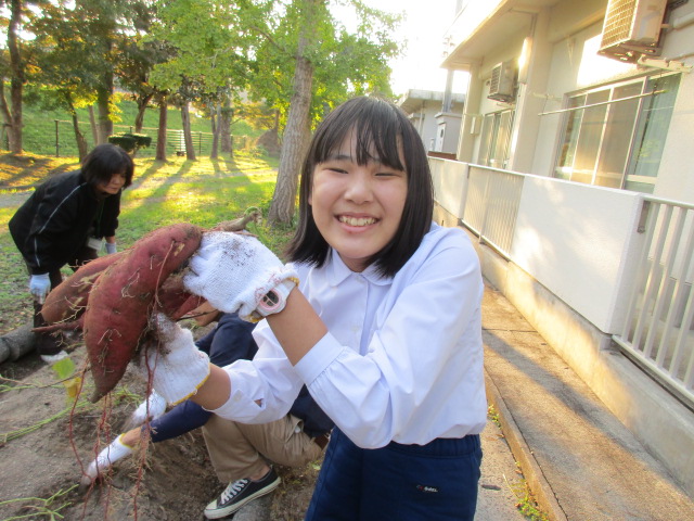 今年も大きく育ったなあ。