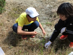 除草作業のようす１
