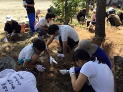除草作業のようす２