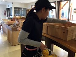 フルーツショップで店頭に並べています
