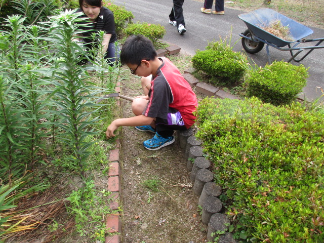 大きな雑草もあるけど頑張って抜きます。