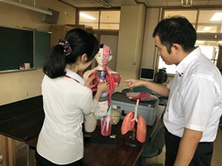 模型を使って身体の勉強をしている様子