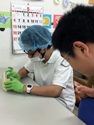 実習の様子を見学しています