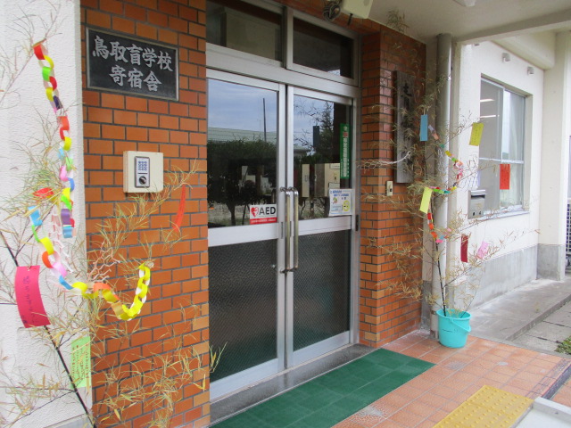 寄宿舎玄関の両脇に笹が飾ってあります
