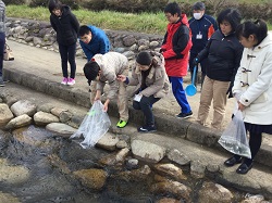 川に鮭を放流しています
