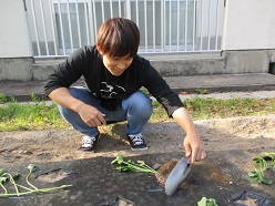 苗を植えている舎生３