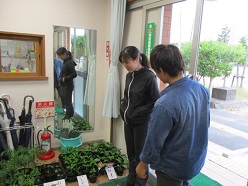 苗選びをする様子