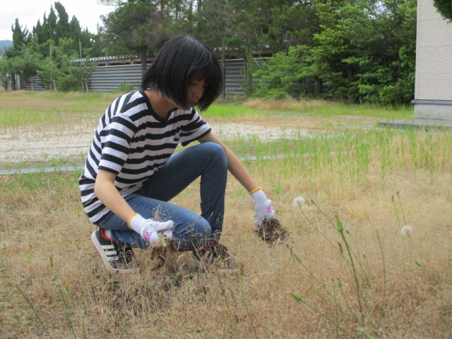 舎生草取り４