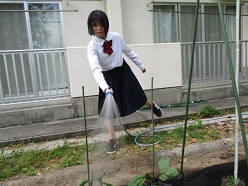 舎生が水やりをしている写真