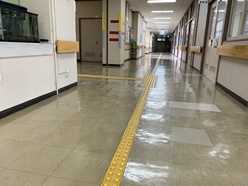 盲学校の廊下の点字ブロック
