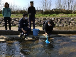 サケを袋川に放流している様子