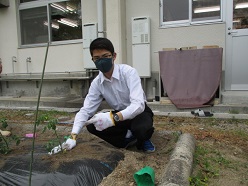 苗植えの様子２
