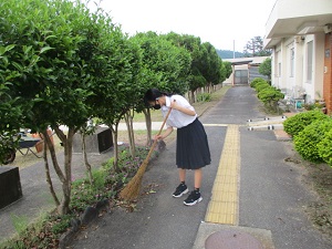 草集め