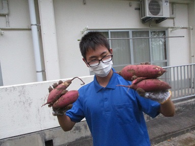 大きな芋が４つ