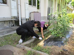 盲生男子二人が草取りをする。