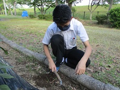 聾生男子が鎌で除草をしているところ