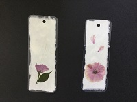 八重桜の花びらで作成したしおり