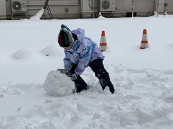 雪だるまをつくる児童