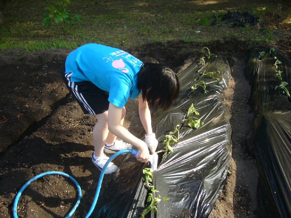 舎生が水やりをしている写真