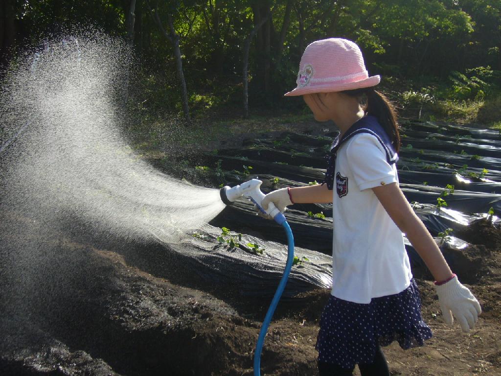 舎生が水遣りをしている写真