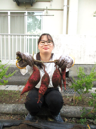 いもほりの様子