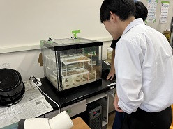 校外学習