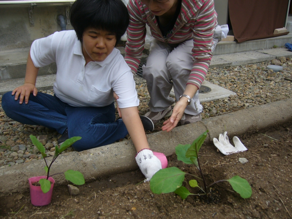 職員の支援を受けながらナスの苗を植えています。
