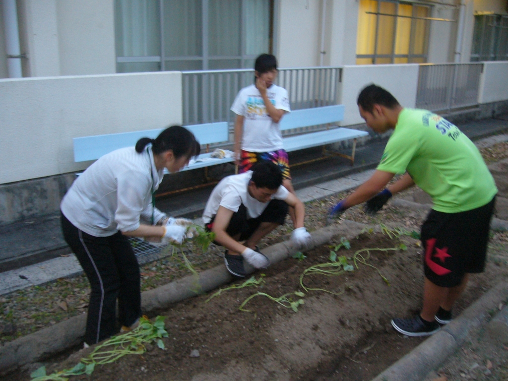 授業で学んだことを活かして、生徒同士で丁寧に苗を植えました。