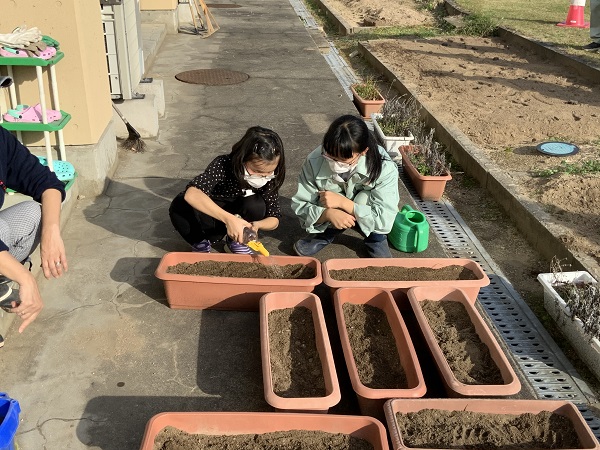 プランタにも植えました。