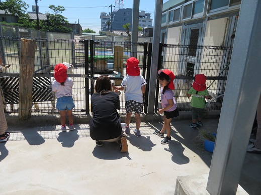 動物見学、博物館見学１