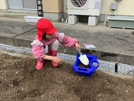 夏野菜苗植え１