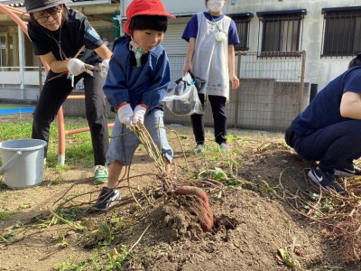 画像1