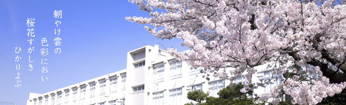 桜花すがしきひかりよぶ