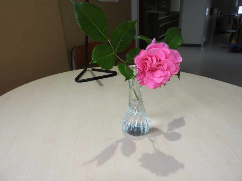 DSCN6979