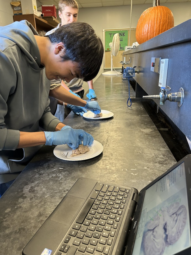 2025年10月17日（22_18）(1)