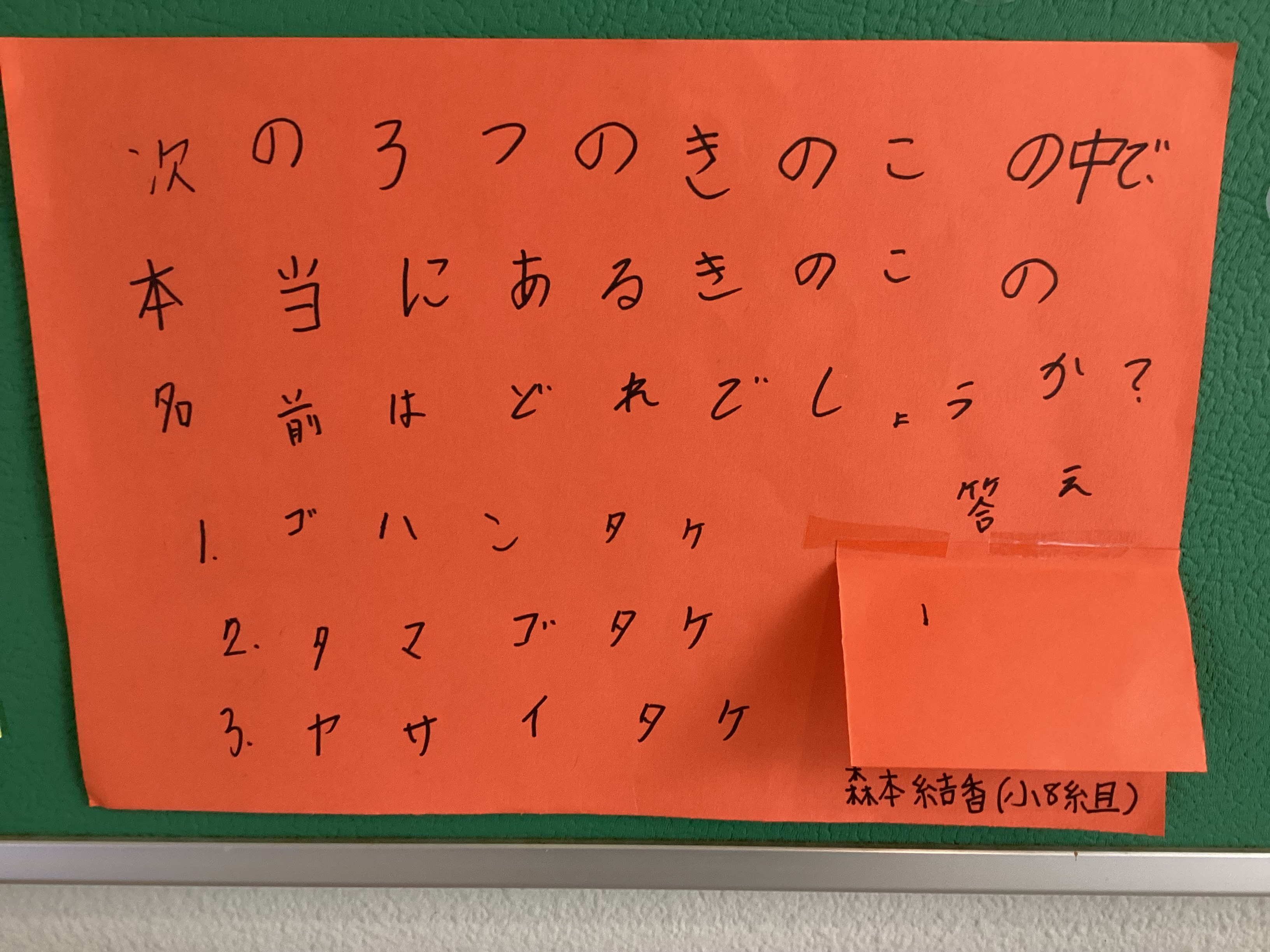 きのこ (1)