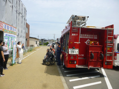 ひな２