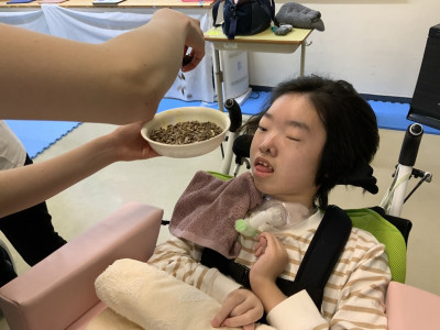 高４②今日の種は？