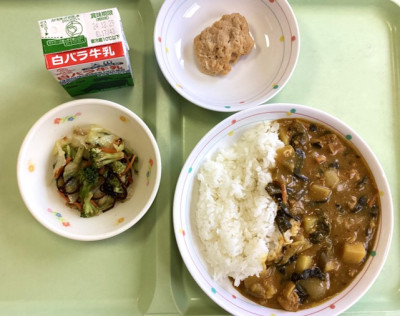 ほうれんそうカレー