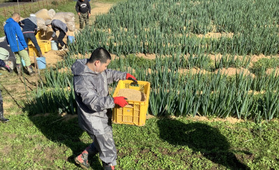 廣岡（すくもまき）_3832