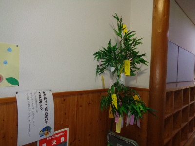 DSC00705