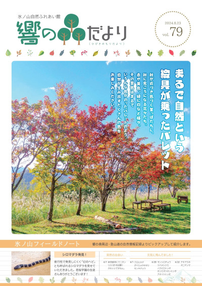 響きの森だより