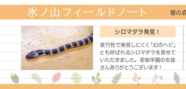 響きの森だより (2)