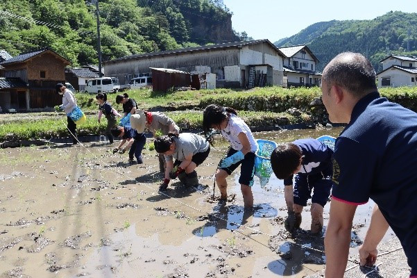 田植え1