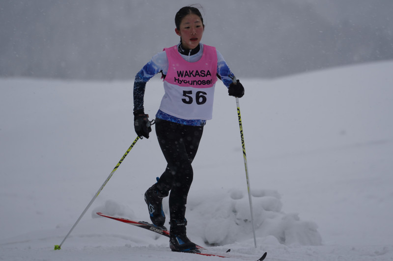 DSC02272 (2)