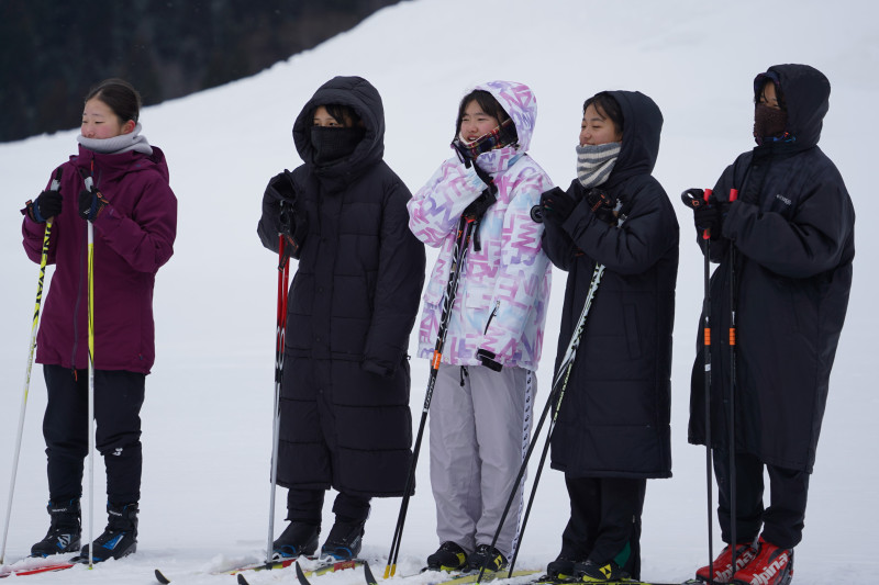 DSC02479 (2)