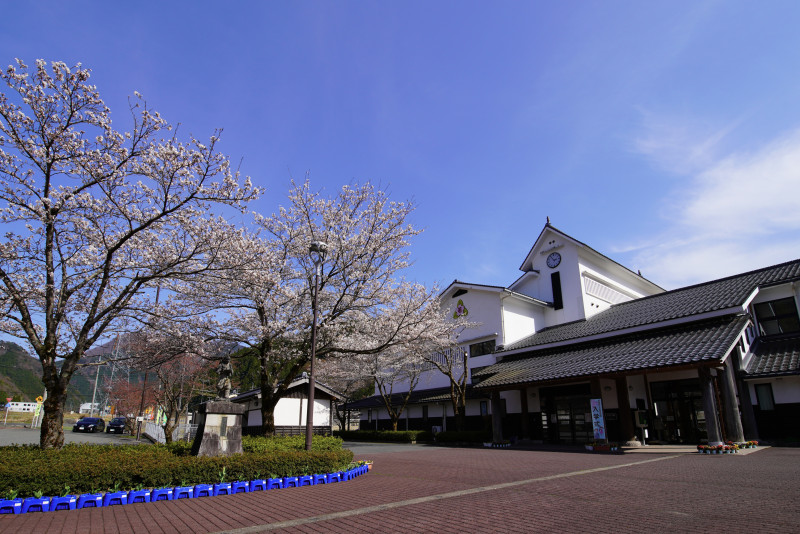 DSC0E0709