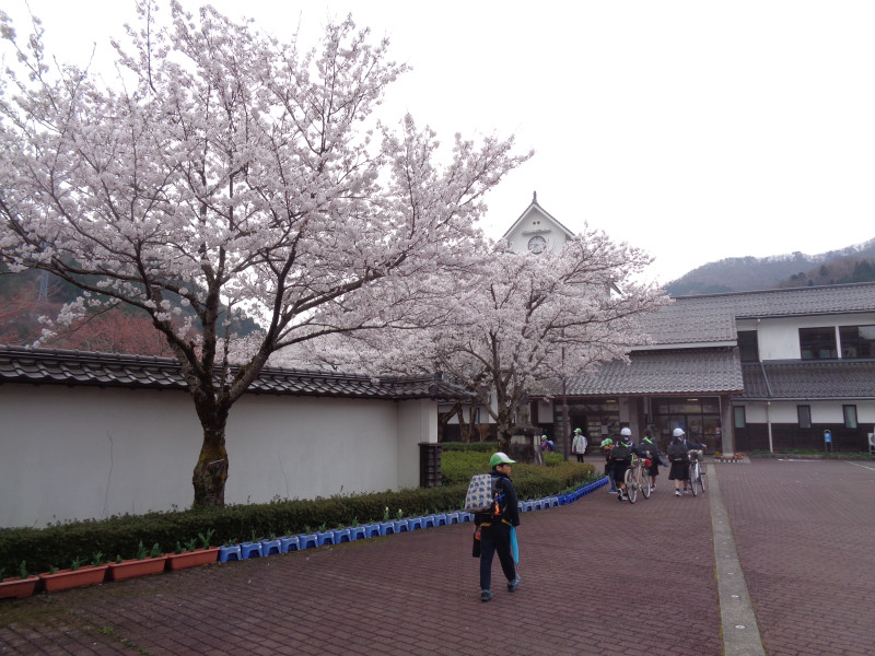 DSC02520