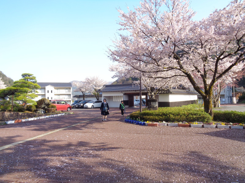 DSC02540