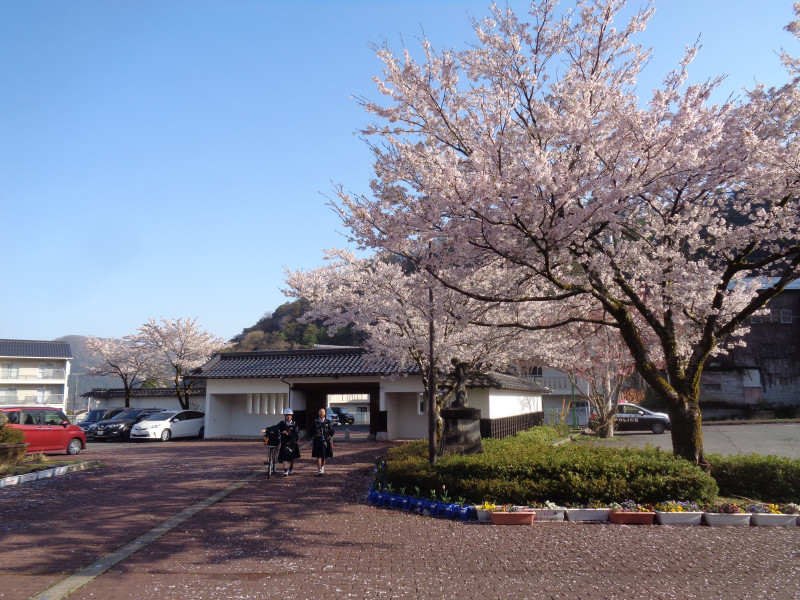 登校DSC02554